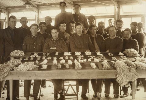 Untitled [William Gemmell and nineteen other WWI soldiers posed around a display of graded wool samples at Oatlands Park, Surrey, England], 1918, England. Maker unknown. Te Papa