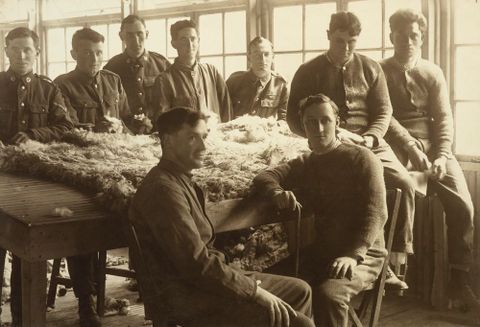 Untitled [William Gemmell and eight other WWI soldiers sitting around sheep fleece at Oatlands Park, Surrey, England], 1918, England. Maker unknown. Te Papa