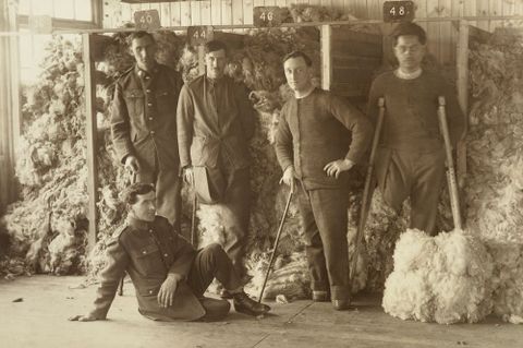 Untitled [five unidentified WWI soldiers posing in front of piles of sheep fleeces at Oatlands Park, Surrey, England], 1918, England, maker unknown. Te Papa (O.031486)