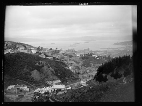 [View of Wellington Harbour with Japanese and New Zealand troopships in harbour], October 1914, New Zealand. Photographed by John Haines. Te Papa