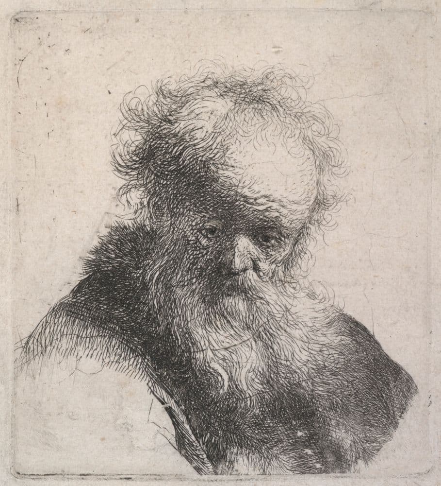 Bust of an old man with flowing beard and white sleeve